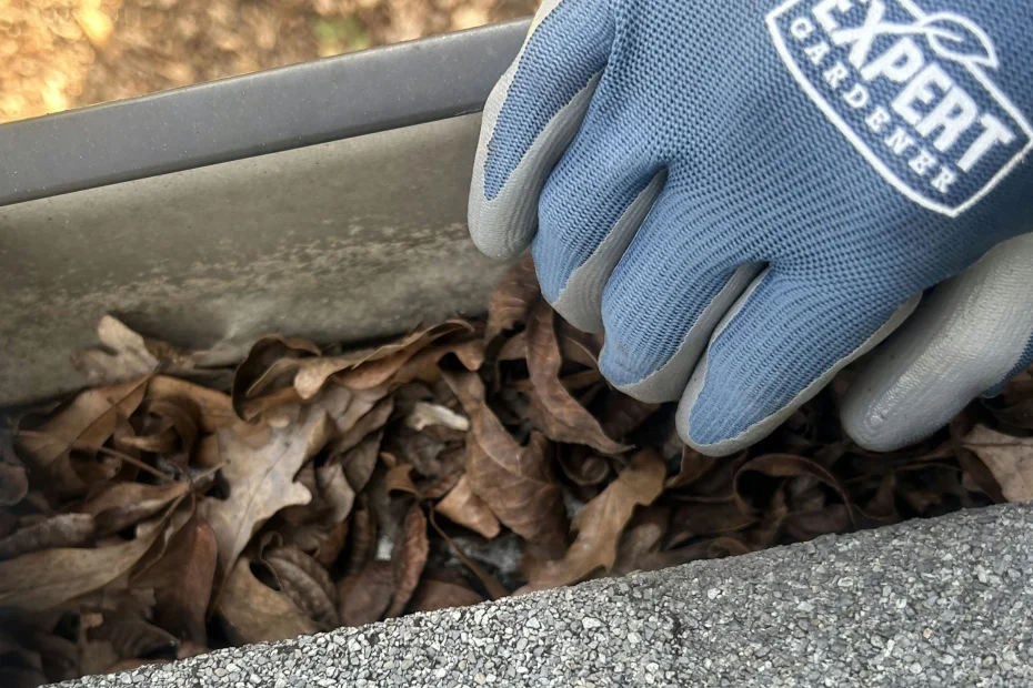 Gutter Cleaning Davidson