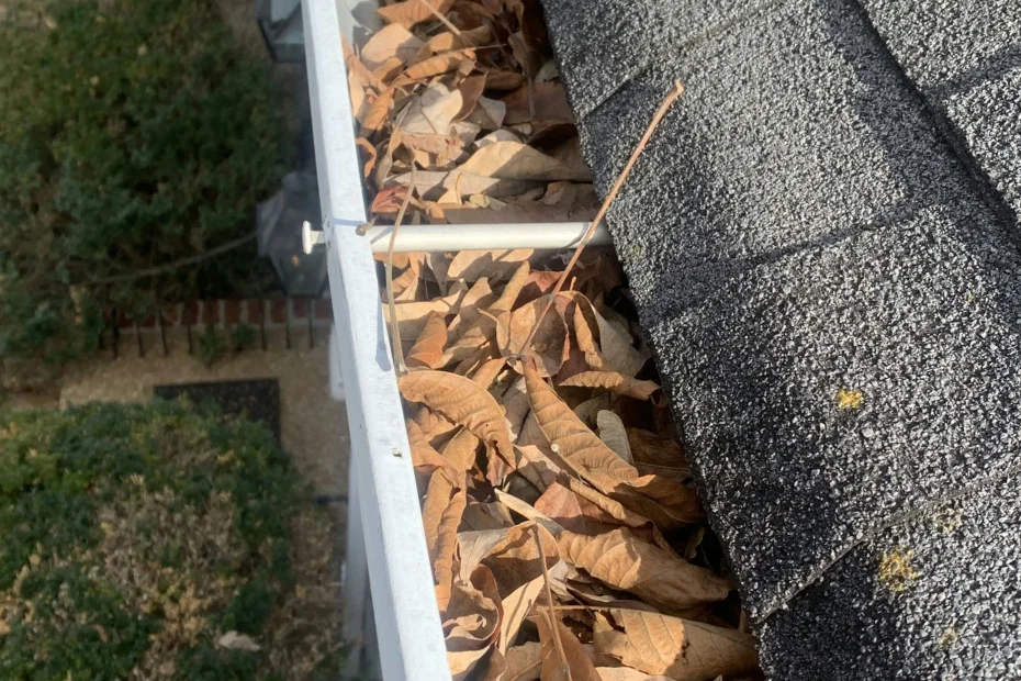 Gutter Cleaning Davidson