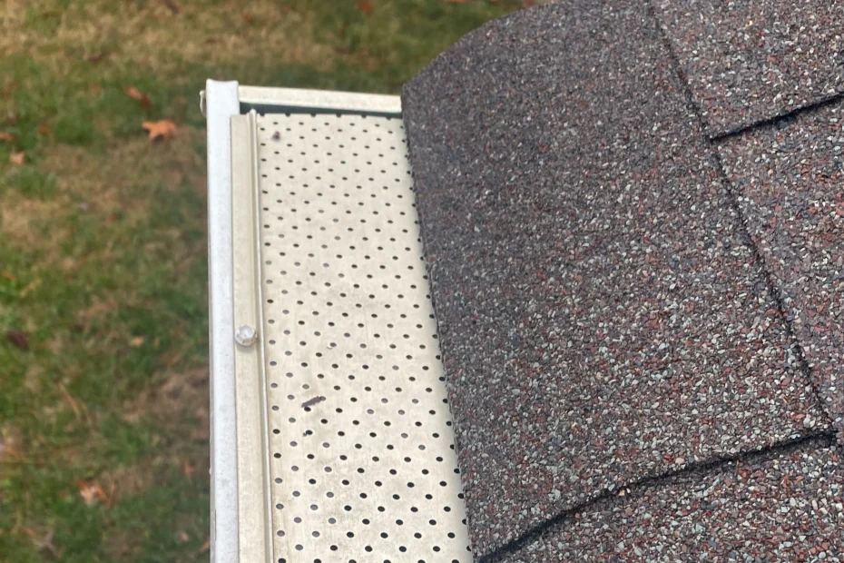 Gutter Cleaning Davidson